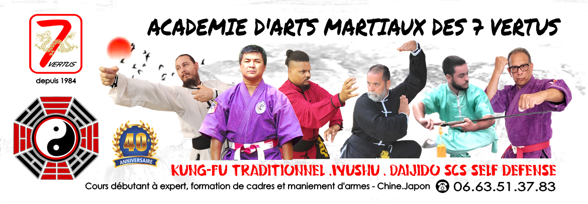 arts martiaux. kung-fu. wushu. self défense. daijido. sports de combat.